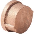 Merit Brass Co 1 Lead Free Brass Cap, FNPT, 125 PSI, Import XNL116-16